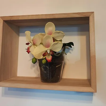 El Cielo De Fomento * خيخون